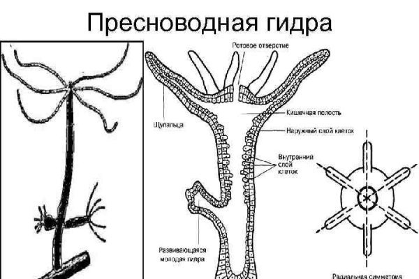 Кракен зеркало на сегодня