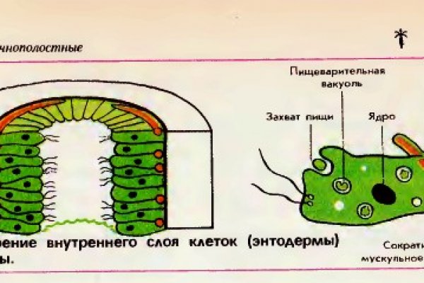 Kraken ссылка зеркало официальный сайт