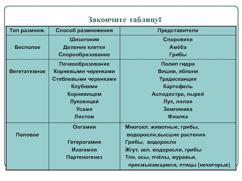 Кракен рабочая ссылка на официальный магазин